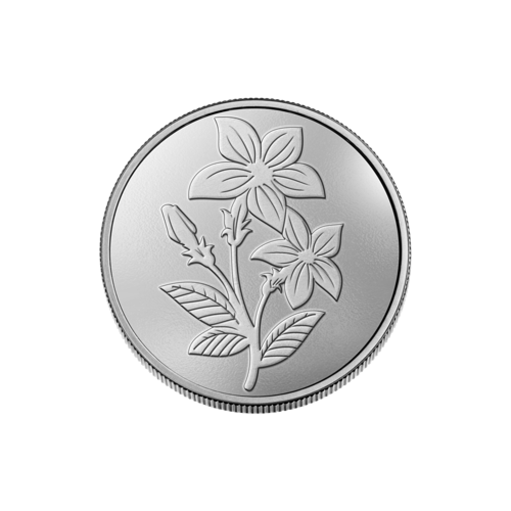 Silver 20 G Coin
