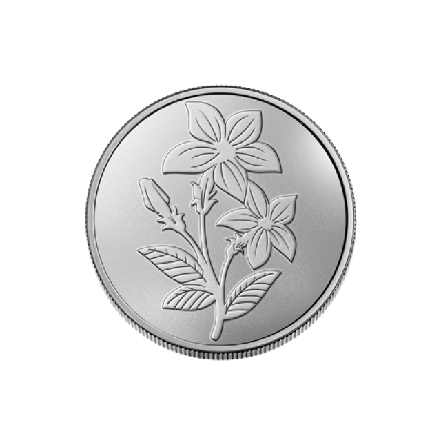 Silver 5G Coin